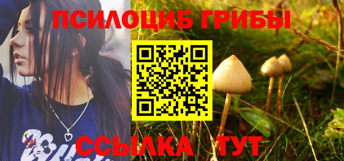 купить наркотики цена  Псилоцибиновые грибы мицелий  Вход с VPN  Чайковский 