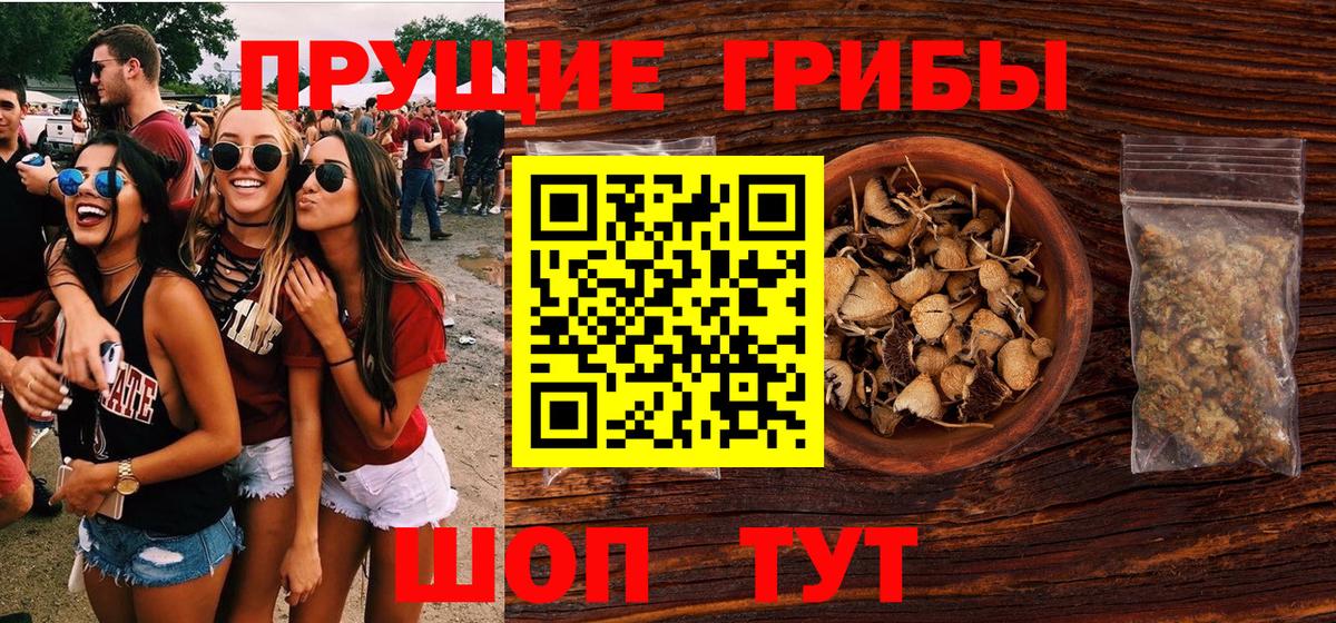 Галлюциногенные грибы MAGIC MUSHROOMS Чайковский